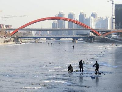 红桥天气预报10天查询