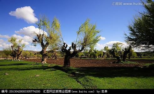 榆树天气预报10天查询，末来十天天气