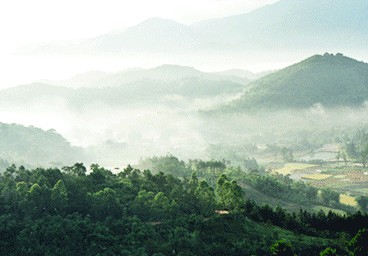 枞阳天气预报10天查询