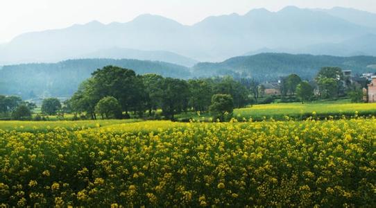 安福天气预报10天查询