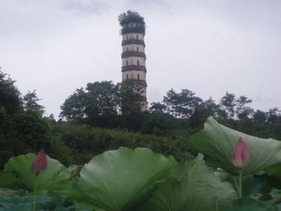 宜黄天气预报10天查询，末来十天天气