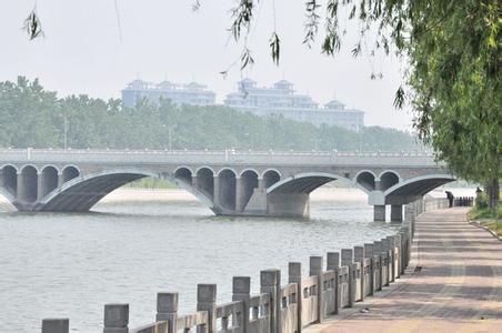 莘县天气预报10天查询，末来十天天气