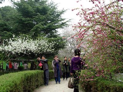 禹王台天气预报10天查询，末来十天天气