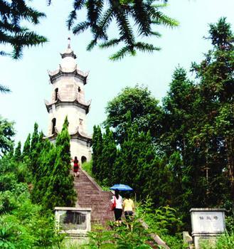 荷塘天气预报10天查询