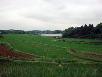 湘潭县天气预报10天查询，末来十天天气