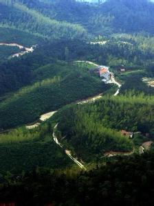 岳阳县天气预报10天查询，末来十天天气