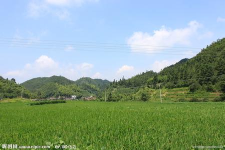 桂东天气预报10天查询