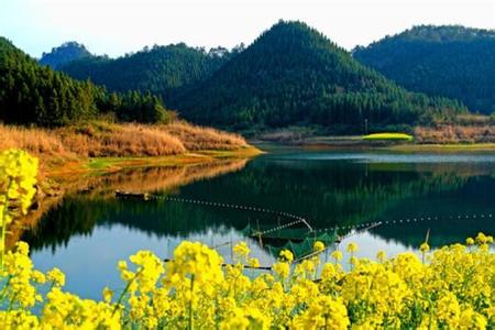 龙川天气预报10天查询，末来十天天气