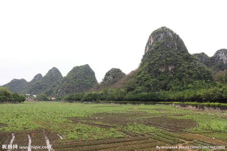 云城天气预报10天查询