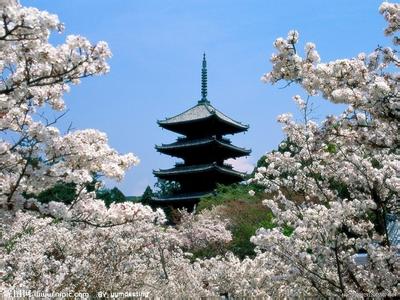 仁和天气预报10天查询，末来十天天气