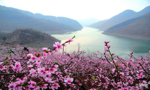 普定天气预报10天查询，末来十天天气