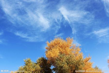 轮台天气预报10天查询，末来十天天气