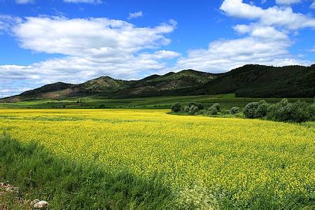 牙克石天气预报30天查询,牙克石市一个月天气