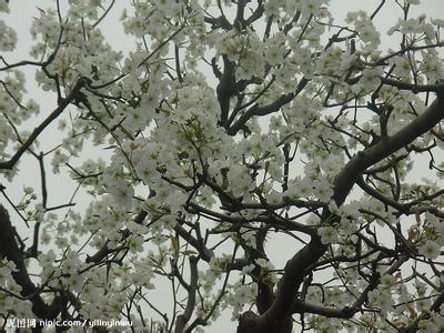 丰县天气预报30天查询,丰县一个月天气