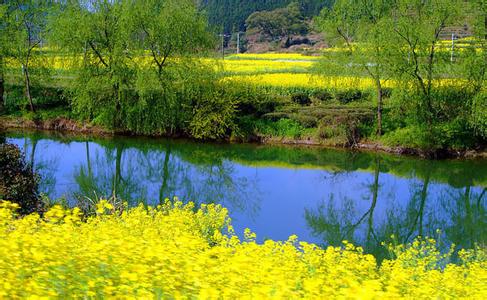 蒙城天气预报30天查询,蒙城县一个月天气