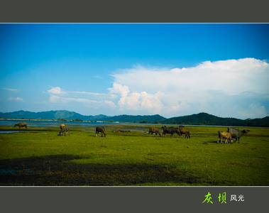 分宜天气预报30天查询,分宜县一个月天气