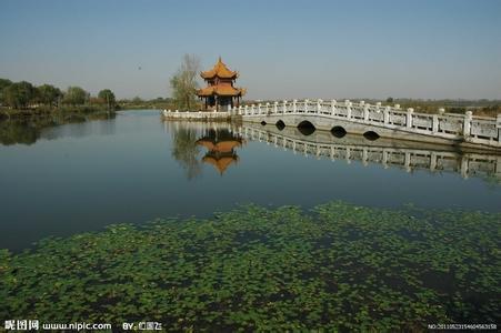 周口淮阳天气预报_淮阳天气预报一周7天10天15天周口淮阳天气预报,淮阳天气预报一周7天10天15天