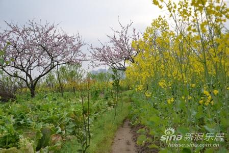 邵阳北塔天气预报_北塔天气预报一周7天10天15天邵阳北塔天气预报,北塔天气预报一周7天10天15天