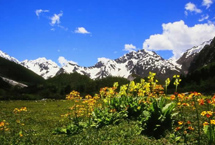 西藏岗乡自然保护区天气