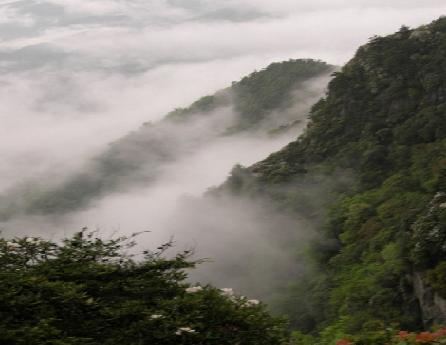 桃山仙洞山公园天气