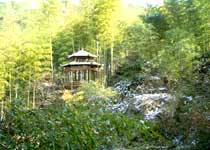 杭州山沟沟风景名胜区天气