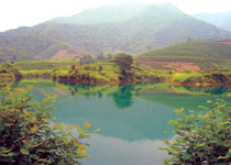 富阳龙坞茶休闲村