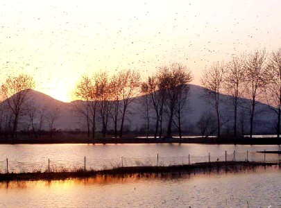 云龙湖天气