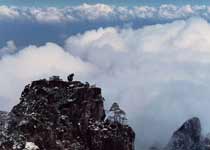 黄山十八罗汉望南海天气