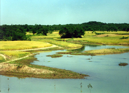 宿迁嶂山森林公园