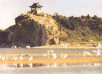 北戴河鸽子窝公园天气