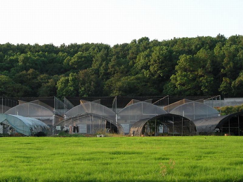 廊坊农业产业化花卉基地天气