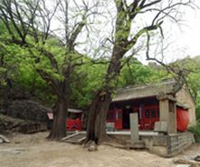 朝阳涌泉寺天气