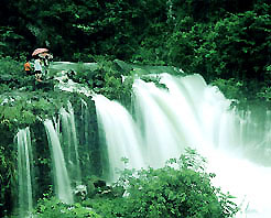 井冈山桐木岭天气