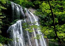 点军兰草谷风景区天气