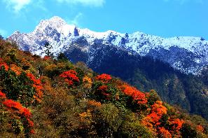 雅安东拉山大峡谷