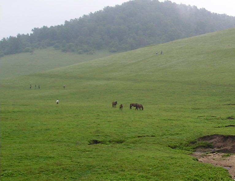 宝鸡关山牧场-龙泉山庄天气