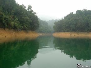 惠东大星山炮台天气