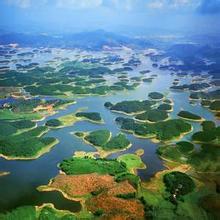 阳江东湖星岛天气