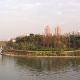 上海大宁灵石公园天气